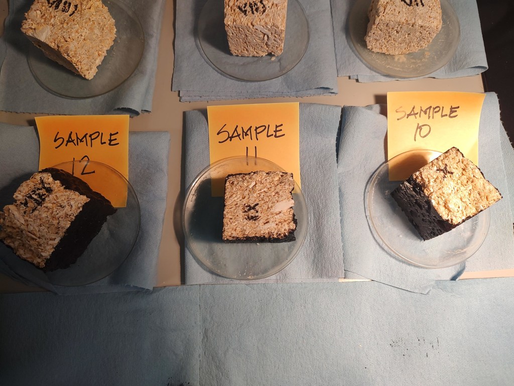 Coquina sample at PISA lab